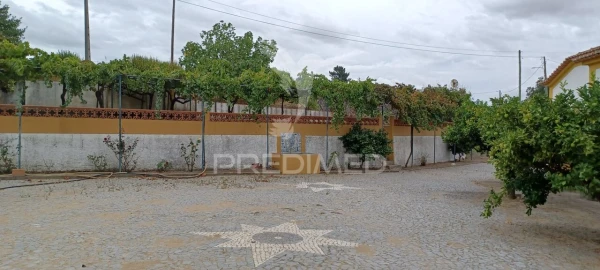 Quinta T0 para Venda em Sé e São Lourenço