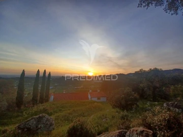 Quinta T0 para Venda em Sé e São Lourenço