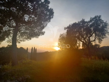 Quinta T0 para Venda em Sé e São Lourenço