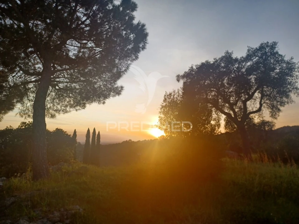 Quinta T0 para Venda em Sé e São Lourenço Foto 31