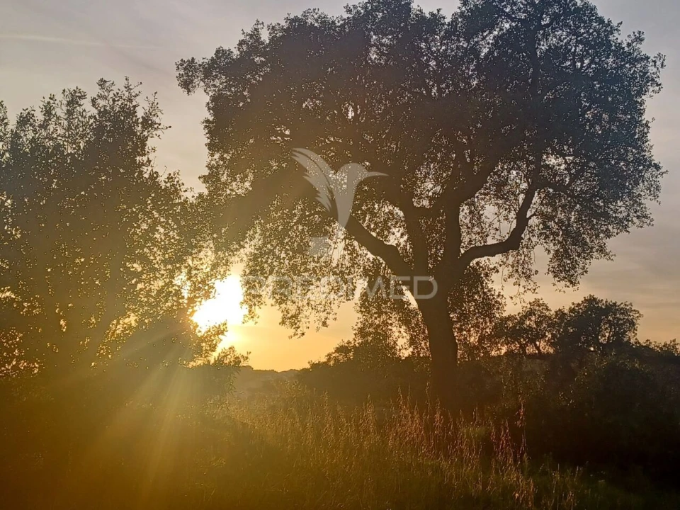 Quinta T0 para Venda em Sé e São Lourenço Foto 29