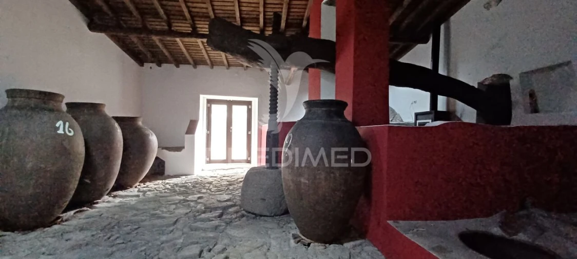 Quinta T0 para Venda em Sé e São Lourenço Foto 2