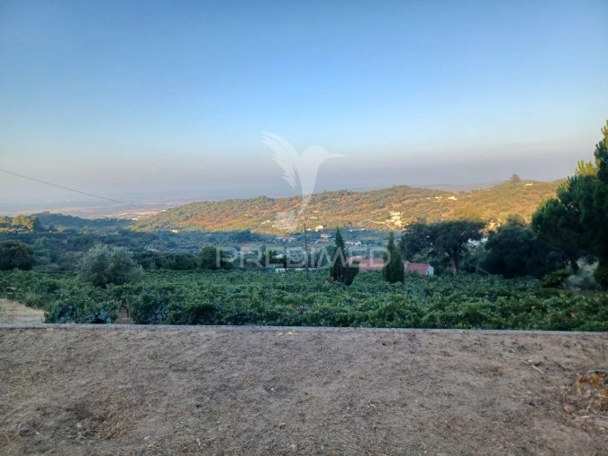 Quinta T0 para Venda em Sé e São Lourenço Foto 15