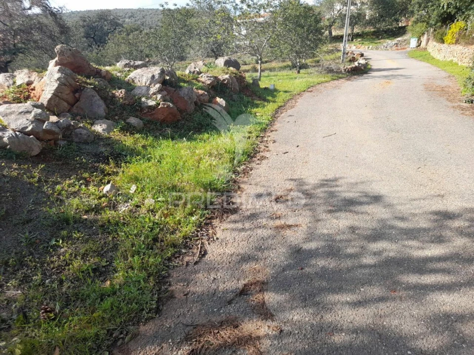 Terreno para Venda em Querença, Tôr e Benafim Foto 13