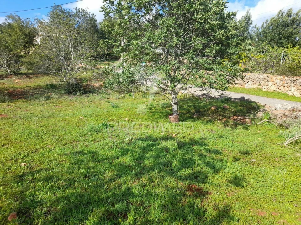 Terreno para Venda em Querença, Tôr e Benafim Foto 1