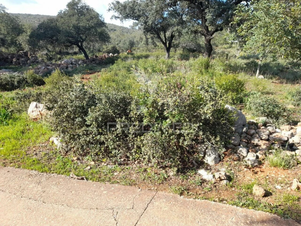 Terreno para Venda em Querença, Tôr e Benafim Foto 7