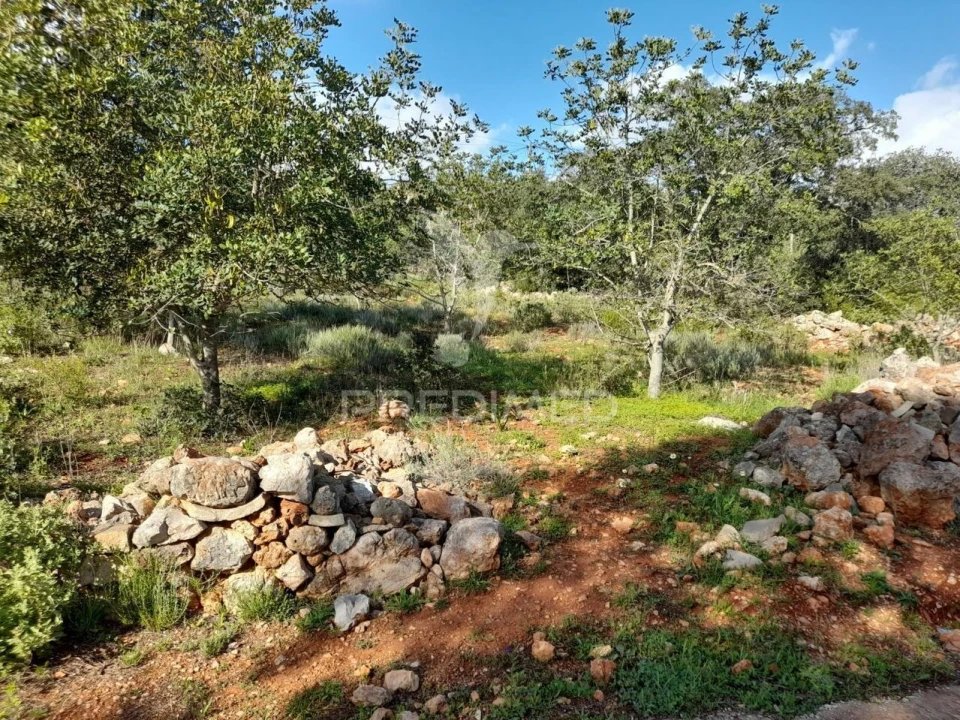 Terreno para Venda em Querença, Tôr e Benafim Foto 14