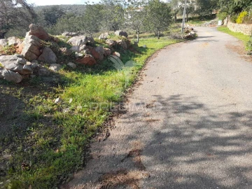 Terreno para Venda em Querença, Tôr e Benafim