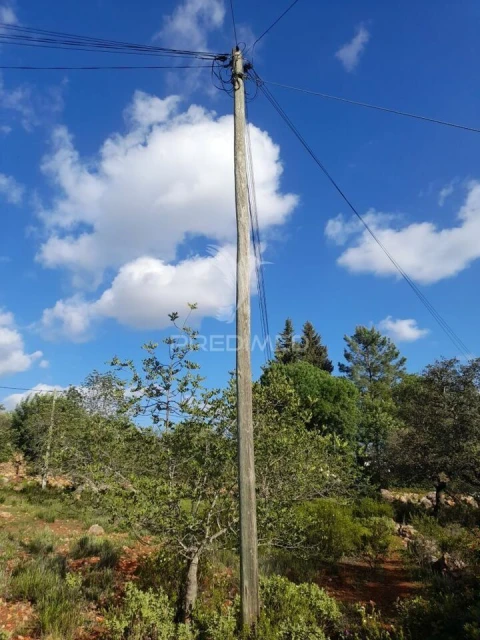 Terreno para Venda em Querença, Tôr e Benafim