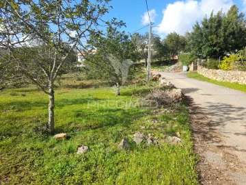 Terreno para Venda em Querença, Tôr e Benafim