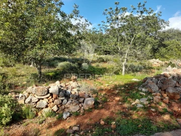 Terreno para Venda em Querença, Tôr e Benafim