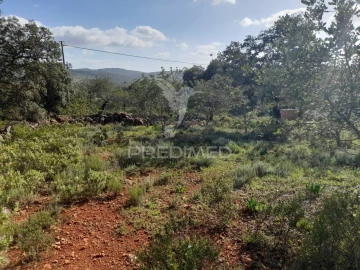 Terreno para Venda em Querença, Tôr e Benafim