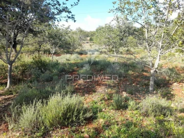 Terreno para Venda em Querença, Tôr e Benafim