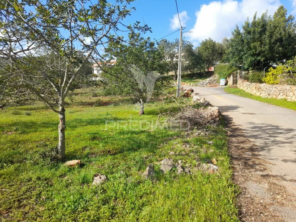 Terreno para Venda em Querença, Tôr e Benafim Foto 11