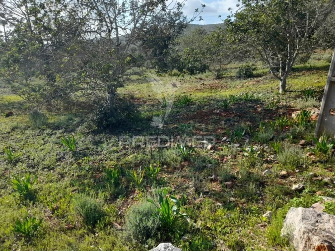 Terreno para Venda em Querença, Tôr e Benafim Foto 8