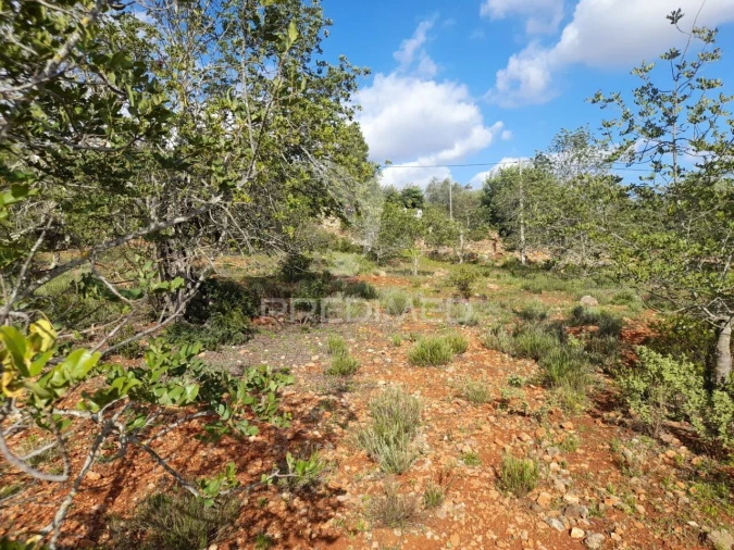 Terreno para Venda em Querença, Tôr e Benafim Foto 2