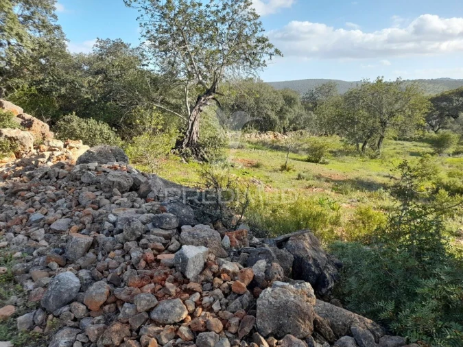 Terreno para Venda em Querença, Tôr e Benafim Foto 6
