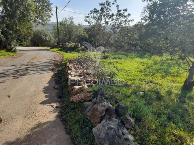 Terreno para Venda em Querença, Tôr e Benafim Foto 15