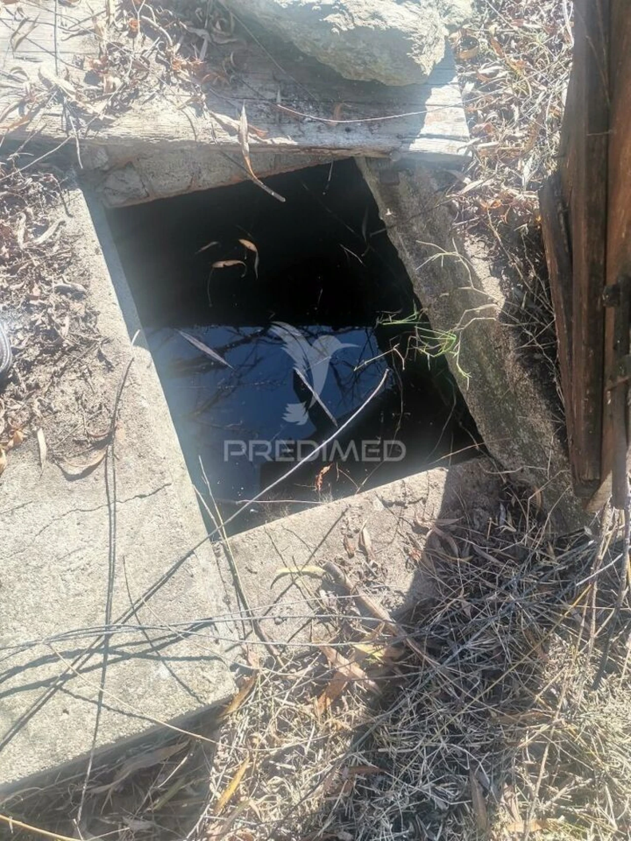 Quinta T3 para Venda em Santo Agostinho e São João Baptista e Santo Amador Foto 13