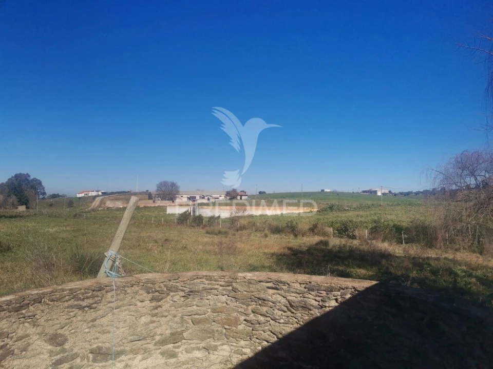 Quinta T3 para Venda em Santo Agostinho e São João Baptista e Santo Amador Foto 17