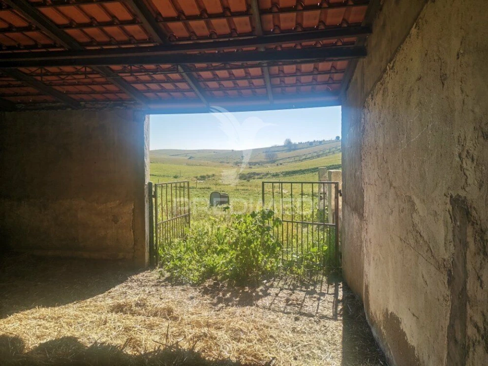 Quinta T3 para Venda em Santo Agostinho e São João Baptista e Santo Amador Foto 16
