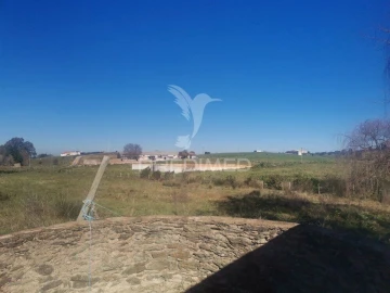 Quinta T3 para Venda em Santo Agostinho e São João Baptista e Santo Amador