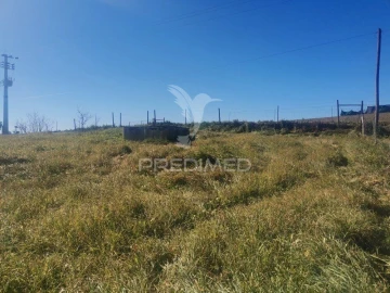 Quinta T3 para Venda em Santo Agostinho e São João Baptista e Santo Amador