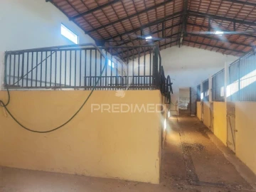 Quinta T3 para Venda em Santo Agostinho e São João Baptista e Santo Amador