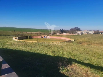 Quinta T3 para Venda em Santo Agostinho e São João Baptista e Santo Amador