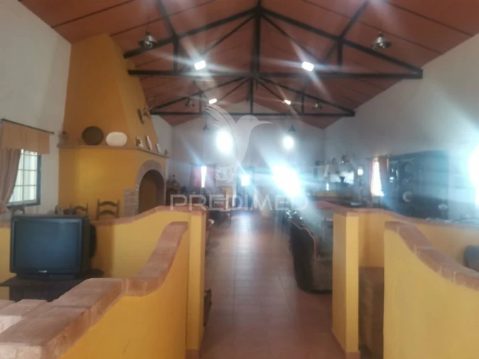 Quinta T3 para Venda em Santo Agostinho e São João Baptista e Santo Amador Foto 2