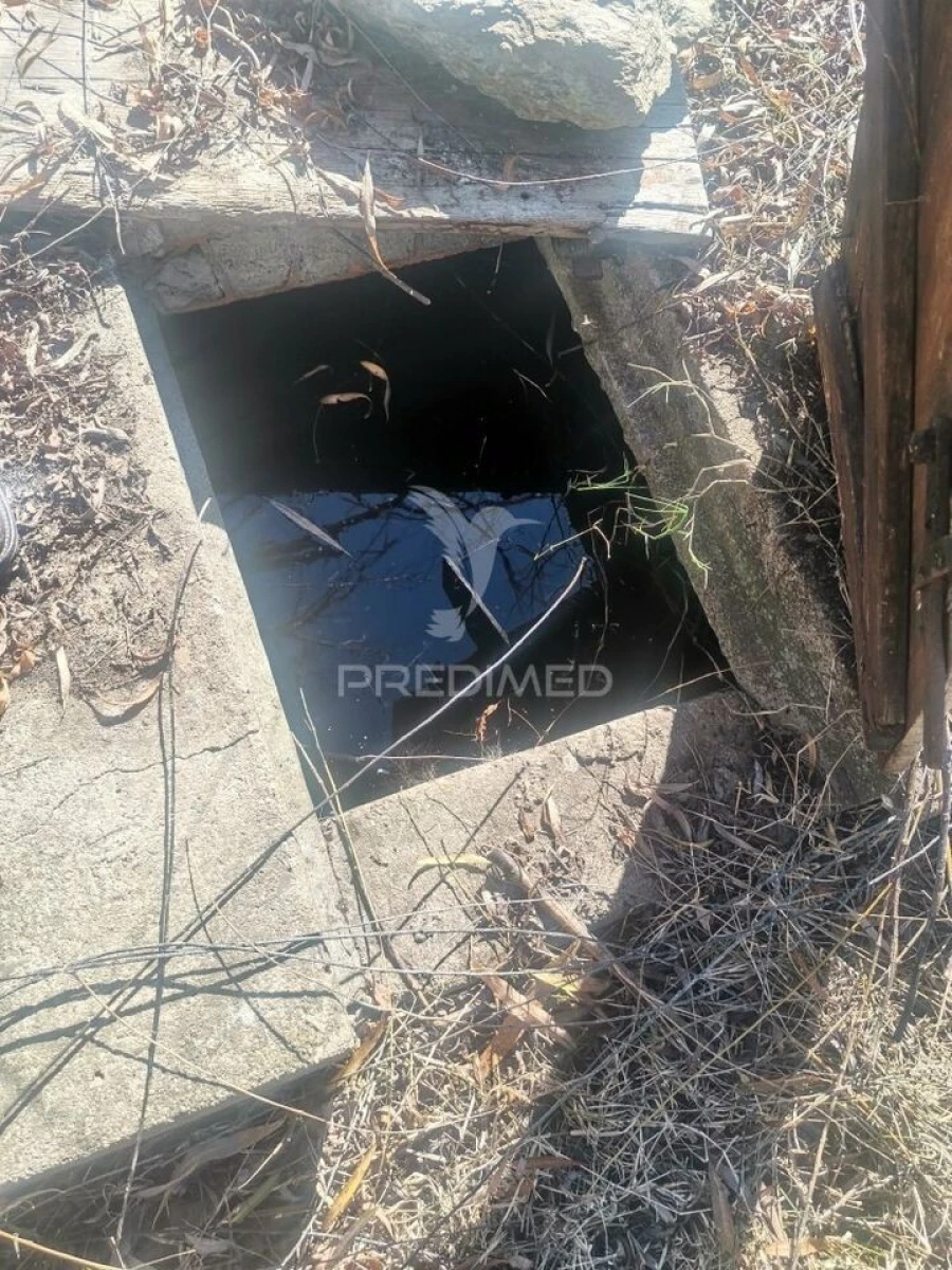 Quinta T3 para Venda em Santo Agostinho e São João Baptista e Santo Amador Foto 13
