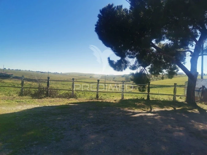 Quinta T3 para Venda em Santo Agostinho e São João Baptista e Santo Amador Foto 15