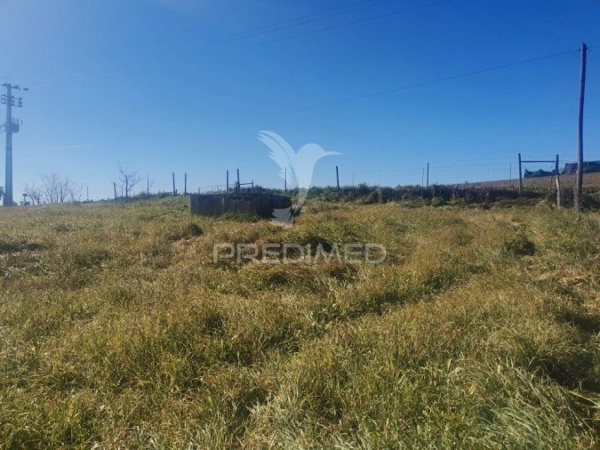 Quinta T3 para Venda em Santo Agostinho e São João Baptista e Santo Amador Foto 12