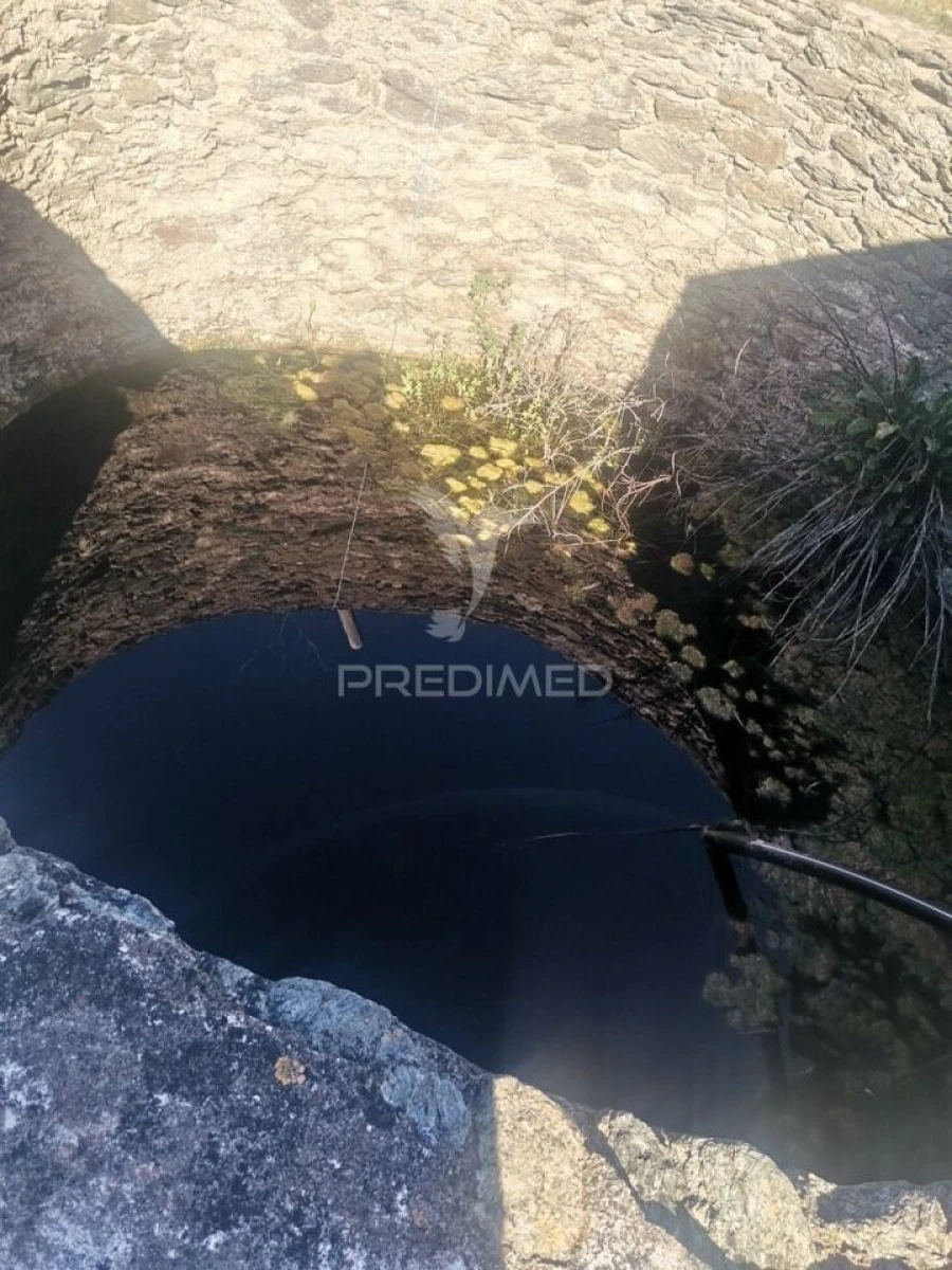 Quinta T3 para Venda em Santo Agostinho e São João Baptista e Santo Amador Foto 14