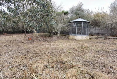 Moradia T5 para Venda em Cartaxo e Vale da Pinta