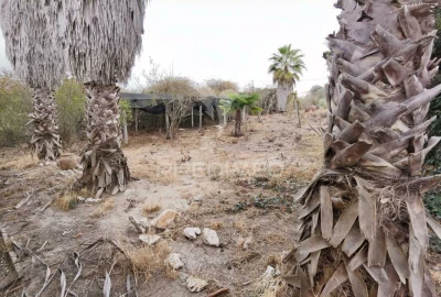 Moradia T5 para Venda em Cartaxo e Vale da Pinta