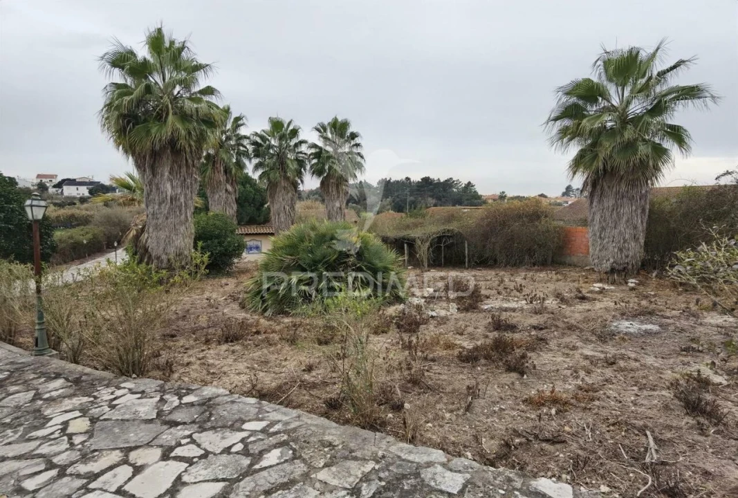 Moradia T5 para Venda em Cartaxo e Vale da Pinta Foto 14