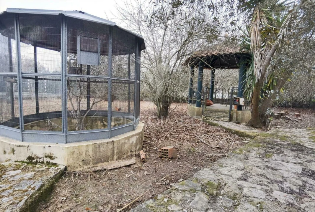 Moradia T5 para Venda em Cartaxo e Vale da Pinta Foto 25