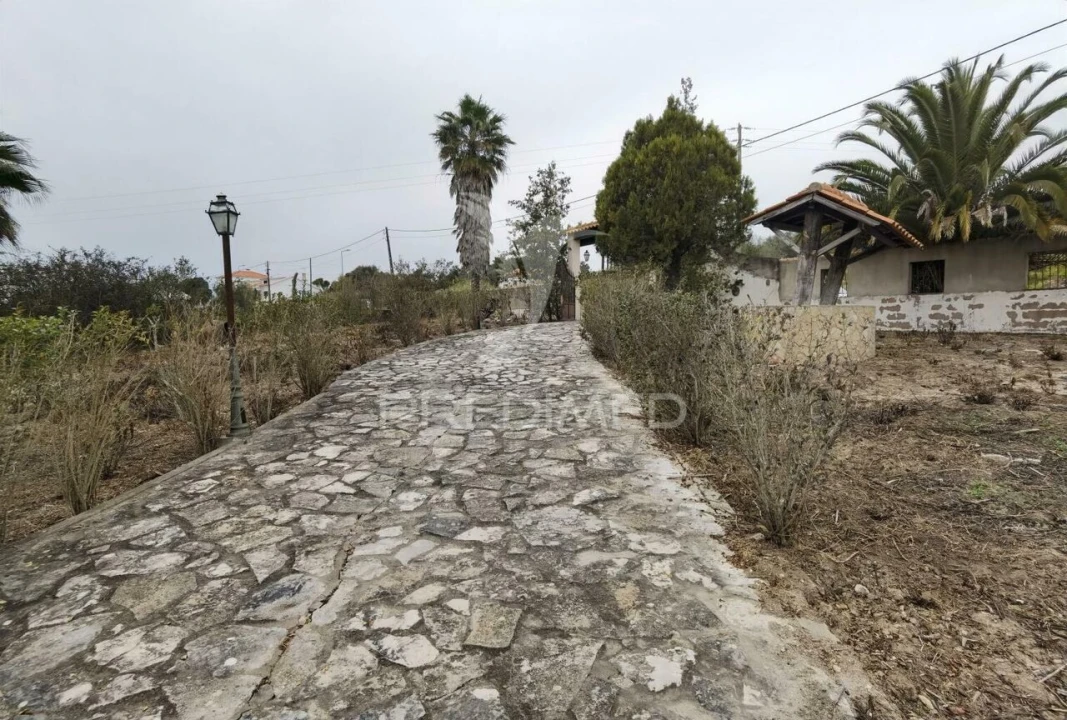 Moradia T5 para Venda em Cartaxo e Vale da Pinta Foto 15