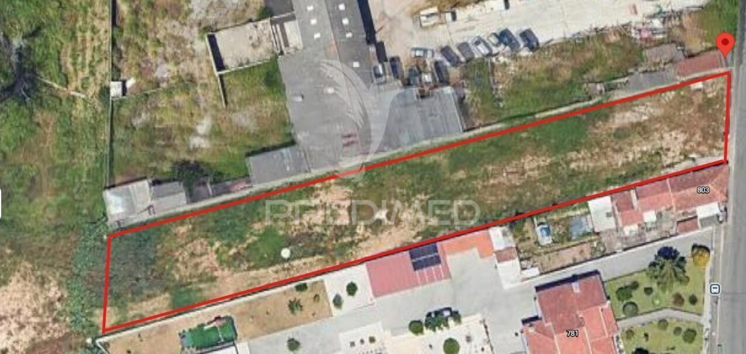 Terreno para Venda em Madalena Foto 3