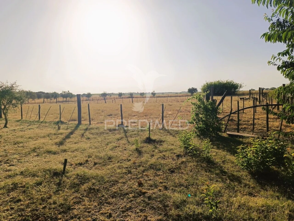 Quinta T3 para Venda em Ameixial (Santa Vitória e São Bento) Foto 35