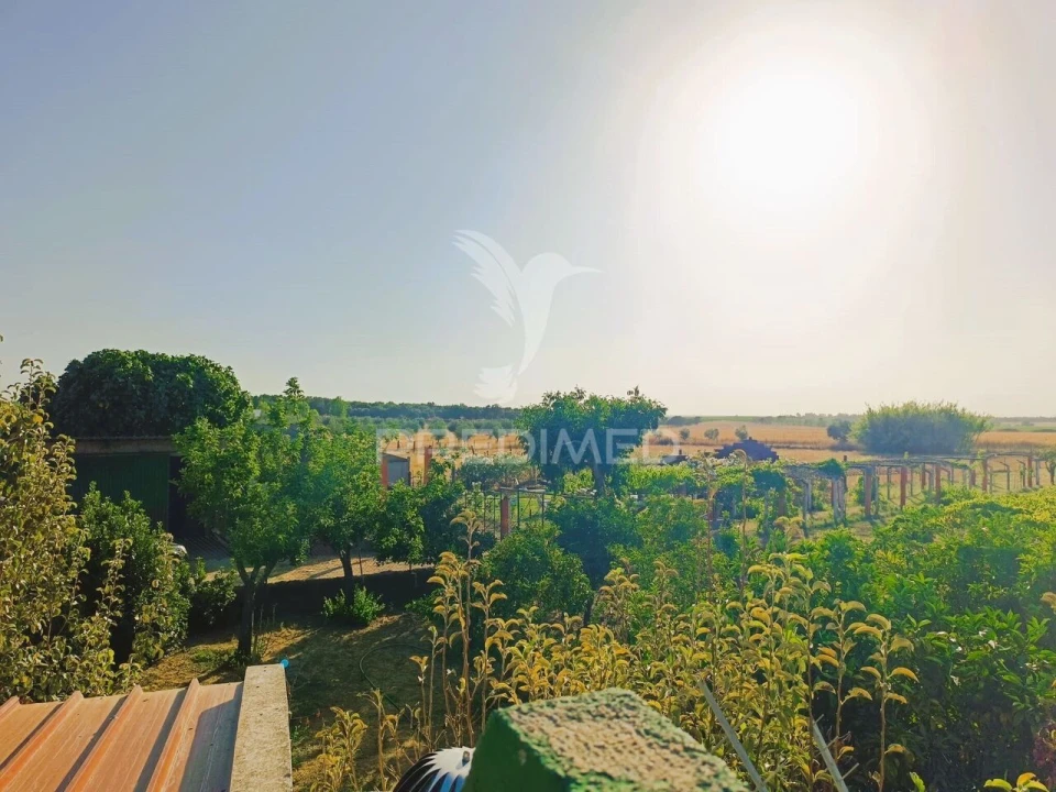 Quinta T3 para Venda em Ameixial (Santa Vitória e São Bento) Foto 34