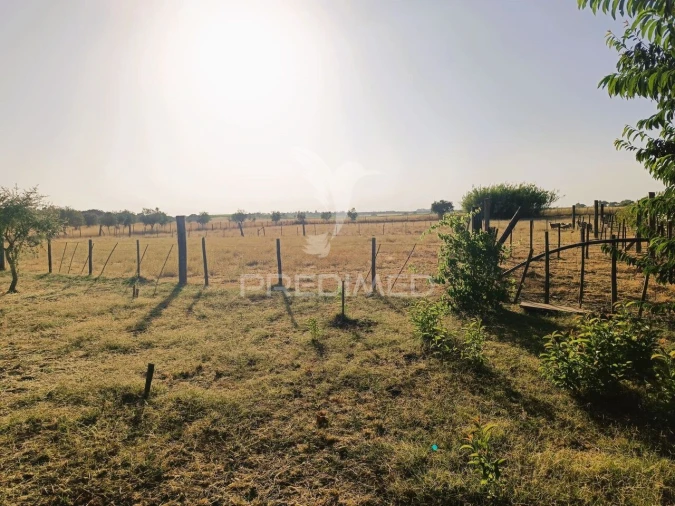 Quinta T3 para Venda em Ameixial (Santa Vitória e São Bento) Foto 35