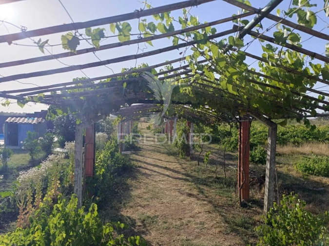 Quinta T3 para Venda em Ameixial (Santa Vitória e São Bento) Foto 23
