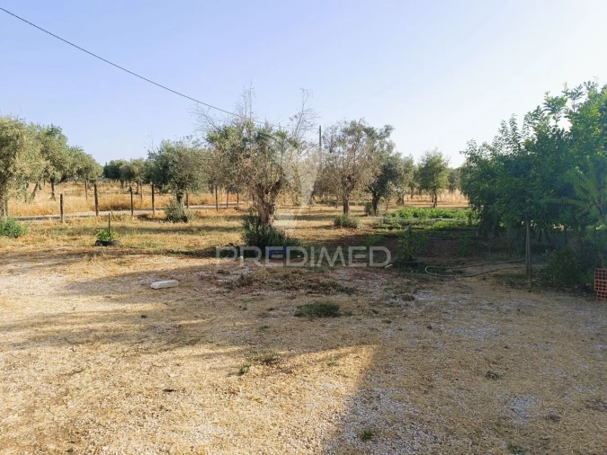 Quinta T3 para Venda em Ameixial (Santa Vitória e São Bento) Foto 33