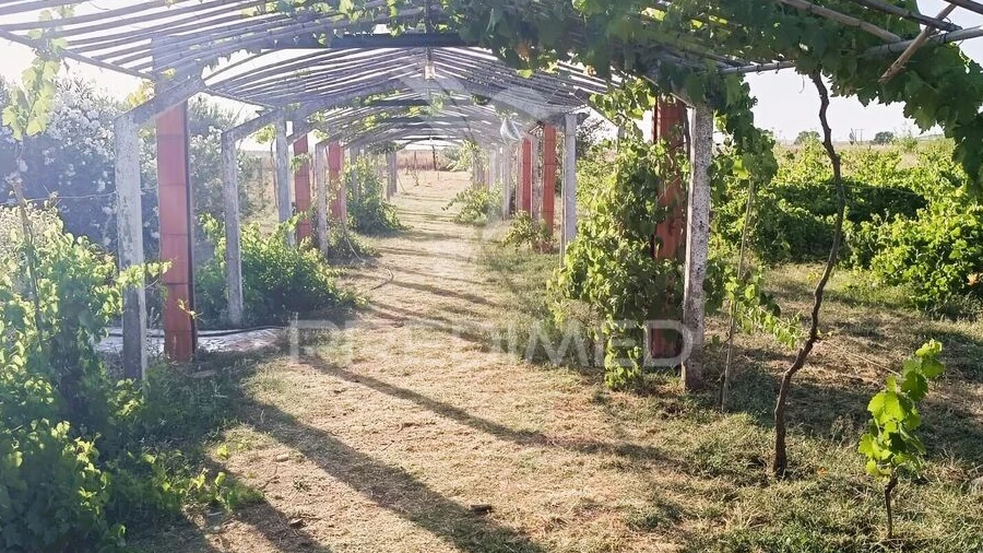 Quinta T3 para Venda em Ameixial (Santa Vitória e São Bento)