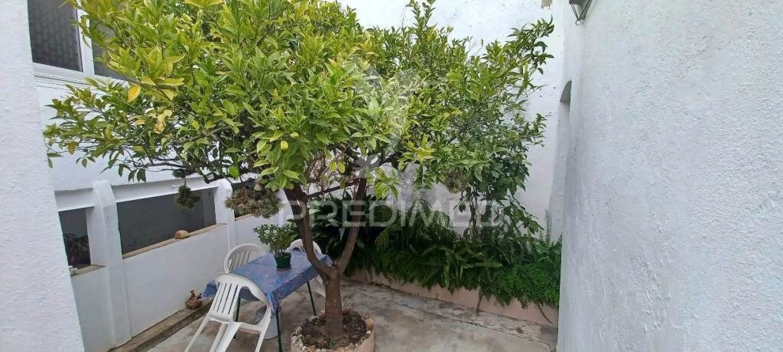 Moradia T9 para Venda em Sé e São Lourenço Foto 31