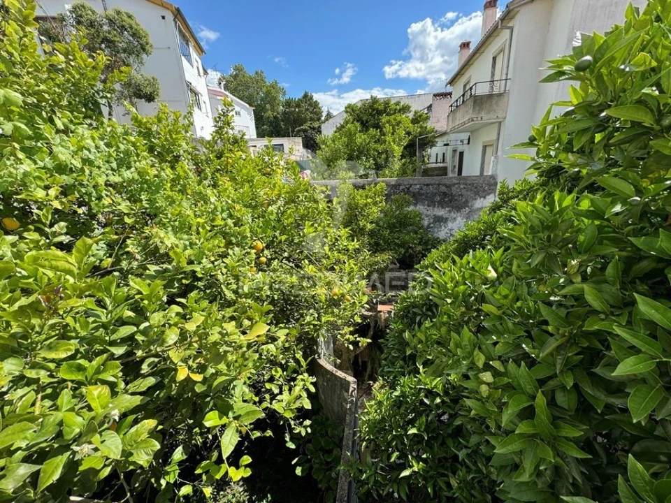 Moradia T8 para Venda em Sé e São Lourenço Foto 33