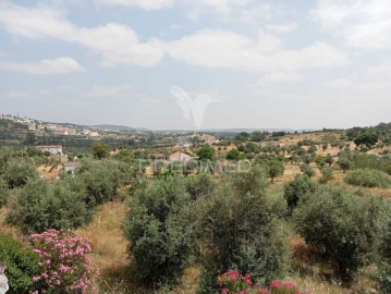 Quinta T4 para Venda em Sé e São Lourenço