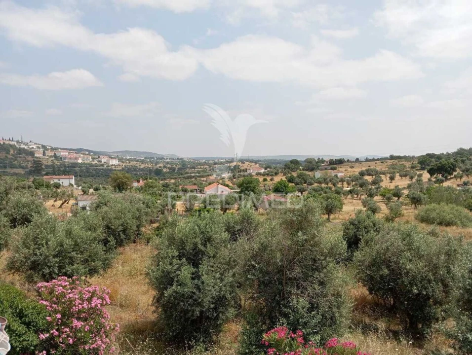 Quinta T4 para Venda em Sé e São Lourenço Foto 17